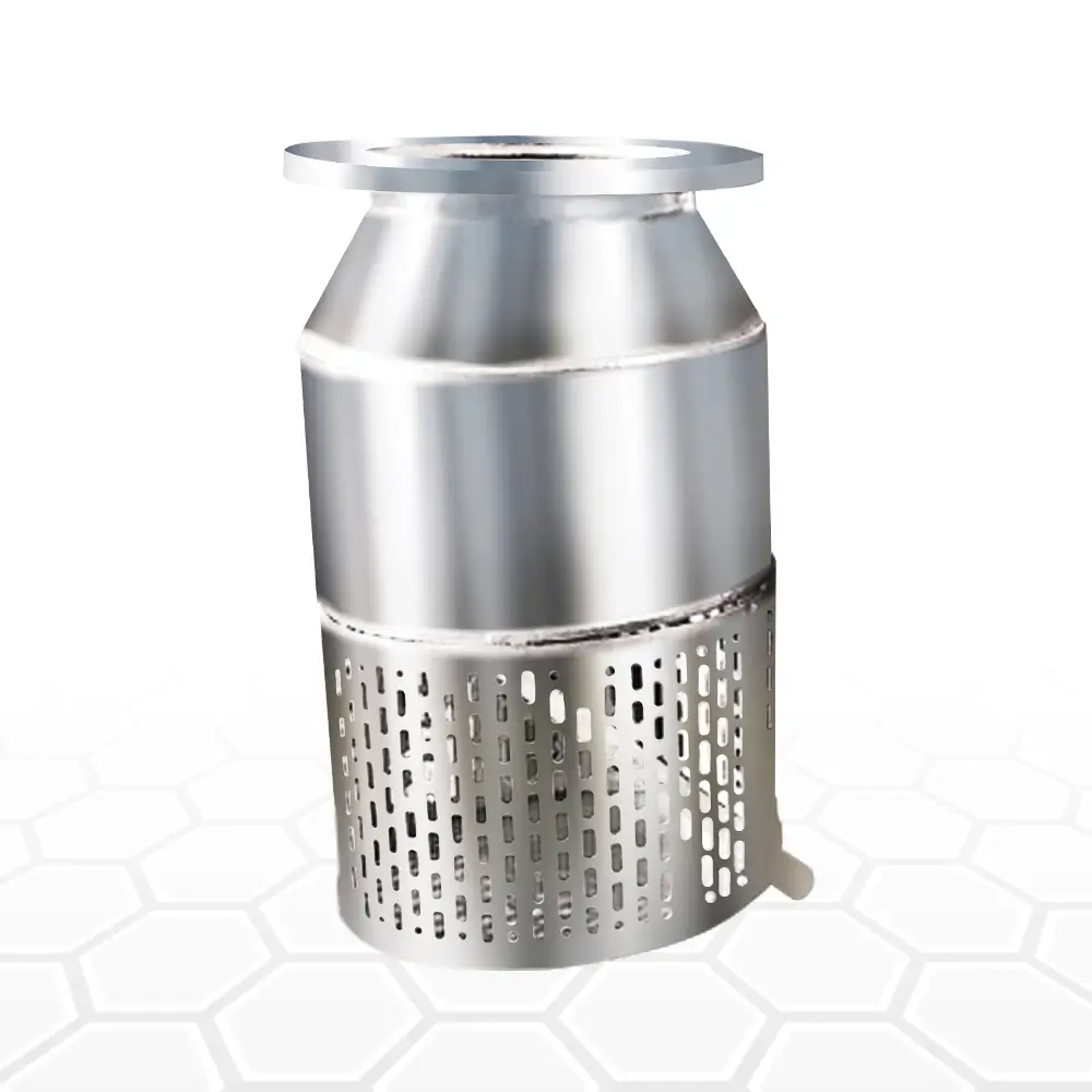 Corrosion-resistant stainless steel foot valves for long-lasting performance