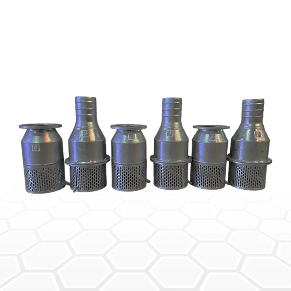 Stainless steel pump strainers for water filtration and pump protection