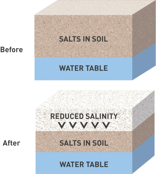 Water Softening System-soil salinity-Illustration